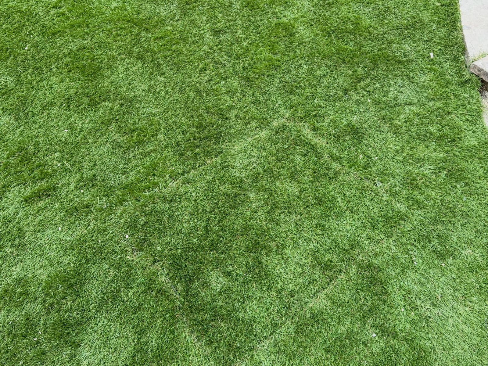 Artificial grass skilfully dressed over flush recessed manhole cover